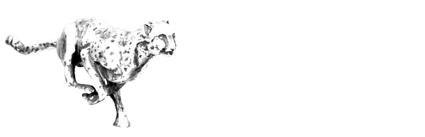 gepard biała