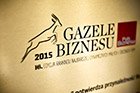 gazele biznesu